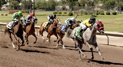Live racing .